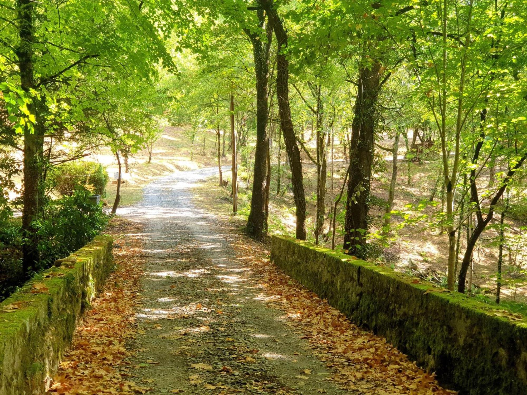 Le Petit Bonheur - Havre De Paix Au Milieu De La Nature Villa Port-Sainte-Marie Kültér fotó